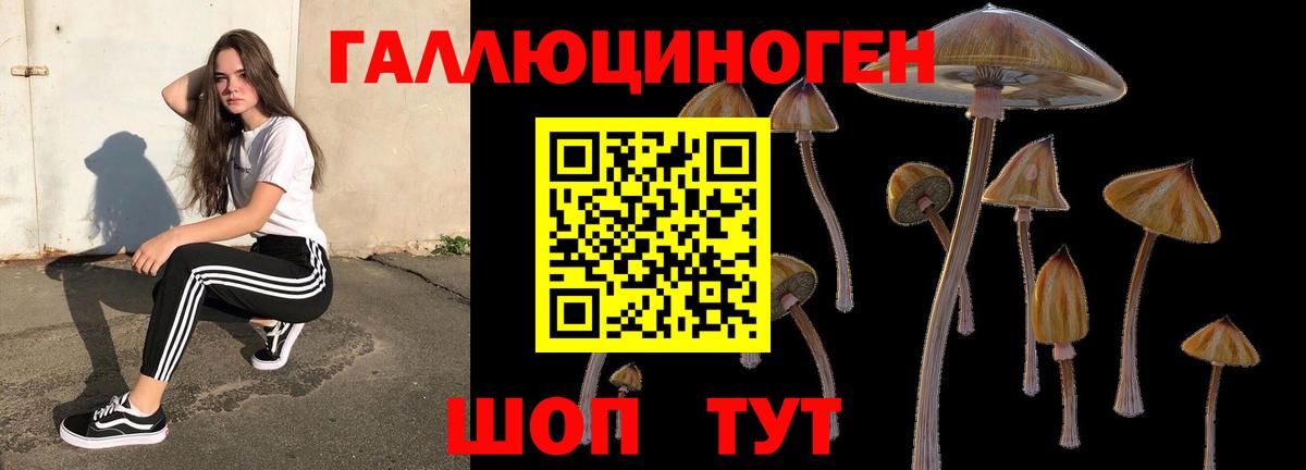 Псилоцибиновые грибы Magic Shrooms  Псилоцибиновые грибы Magic Shrooms  Вход с VPN  Балаково 